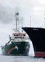 Greenpeace / Kate Davison
